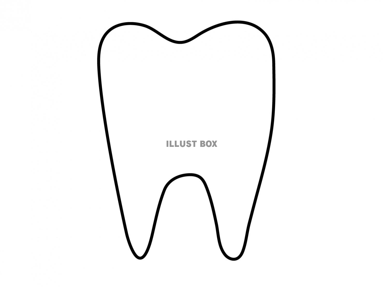 歯、手書き風シンプル線画