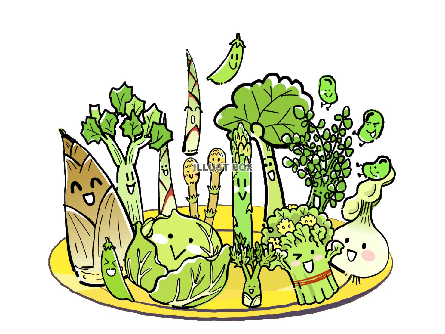 春の野菜セット_お皿