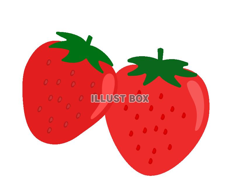 イチゴの実のイラスト