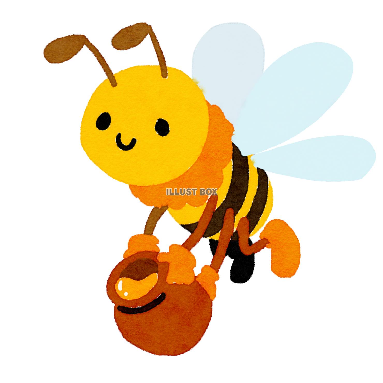 ハチミツを運ぶミツバチ