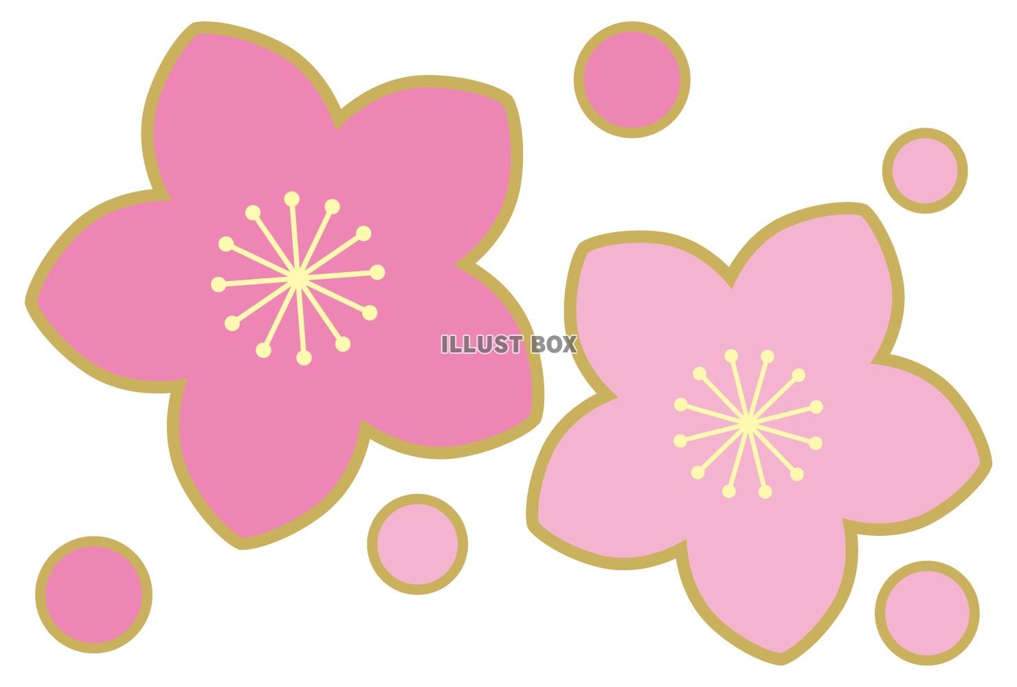 ひなまつり桃の花イラスト02/フチあり