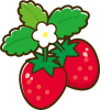 花のついたイチゴ
