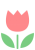 チューリップ（ピンク）