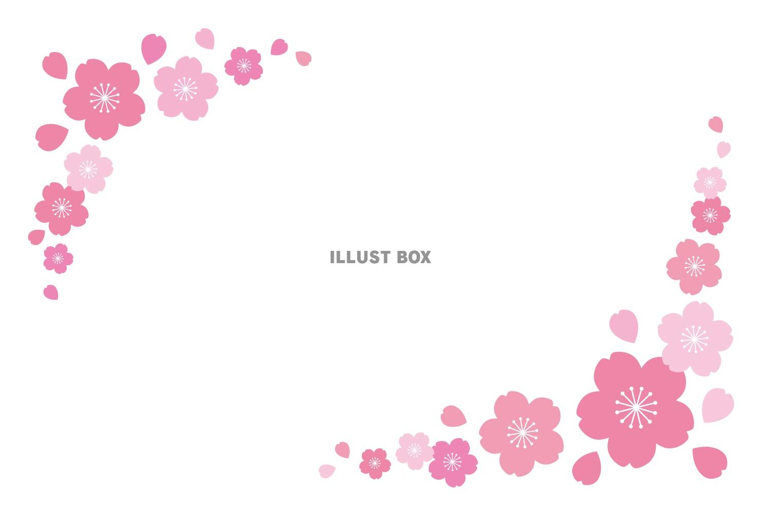 春の花フレームカード06/桜の花