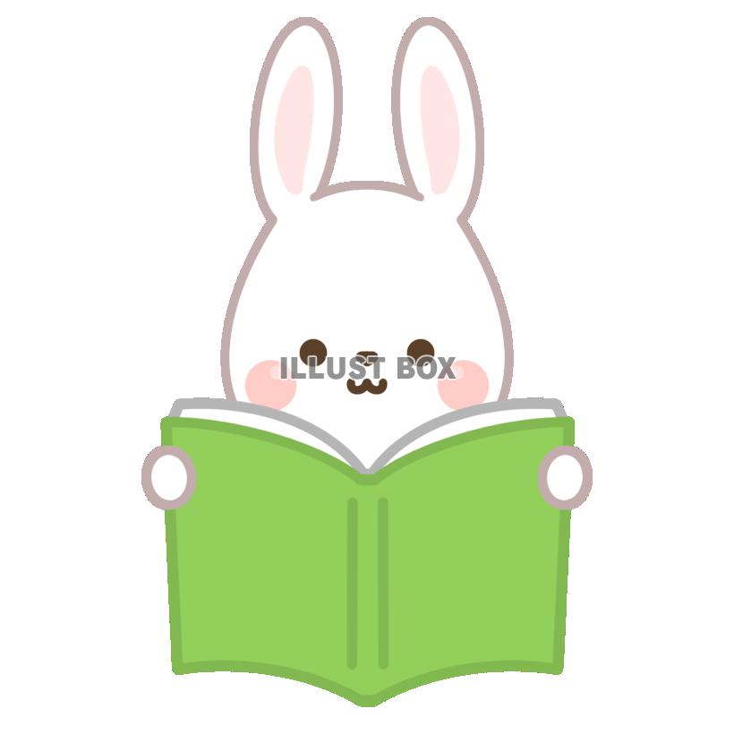 本を読むうさぎ