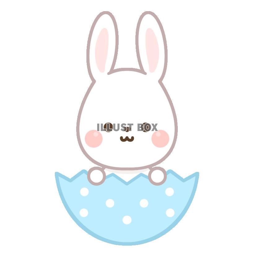 たまごの殻・うさぎ