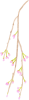 「さくら」シリーズ　イラスト７