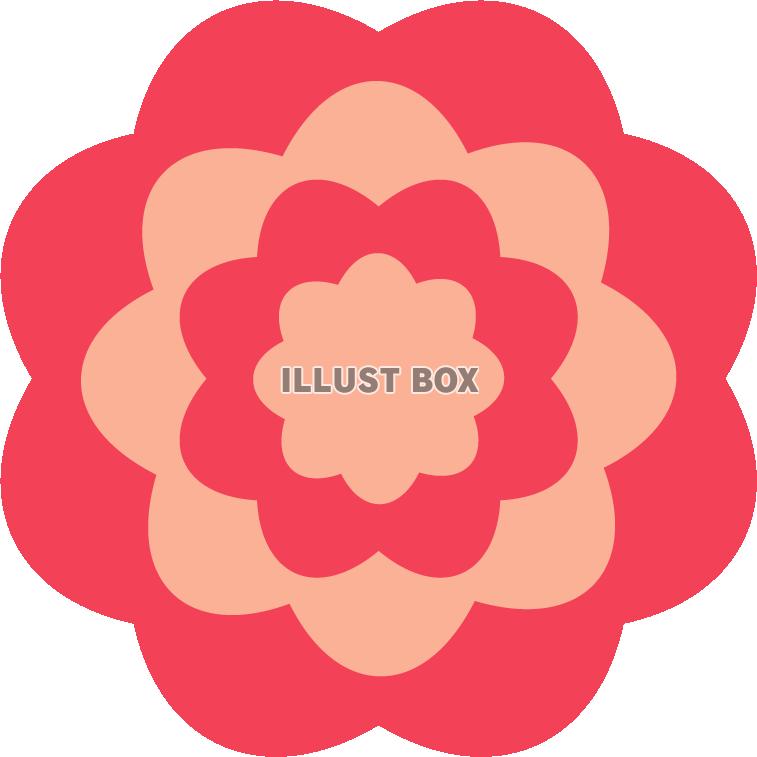 花紙で作った花02