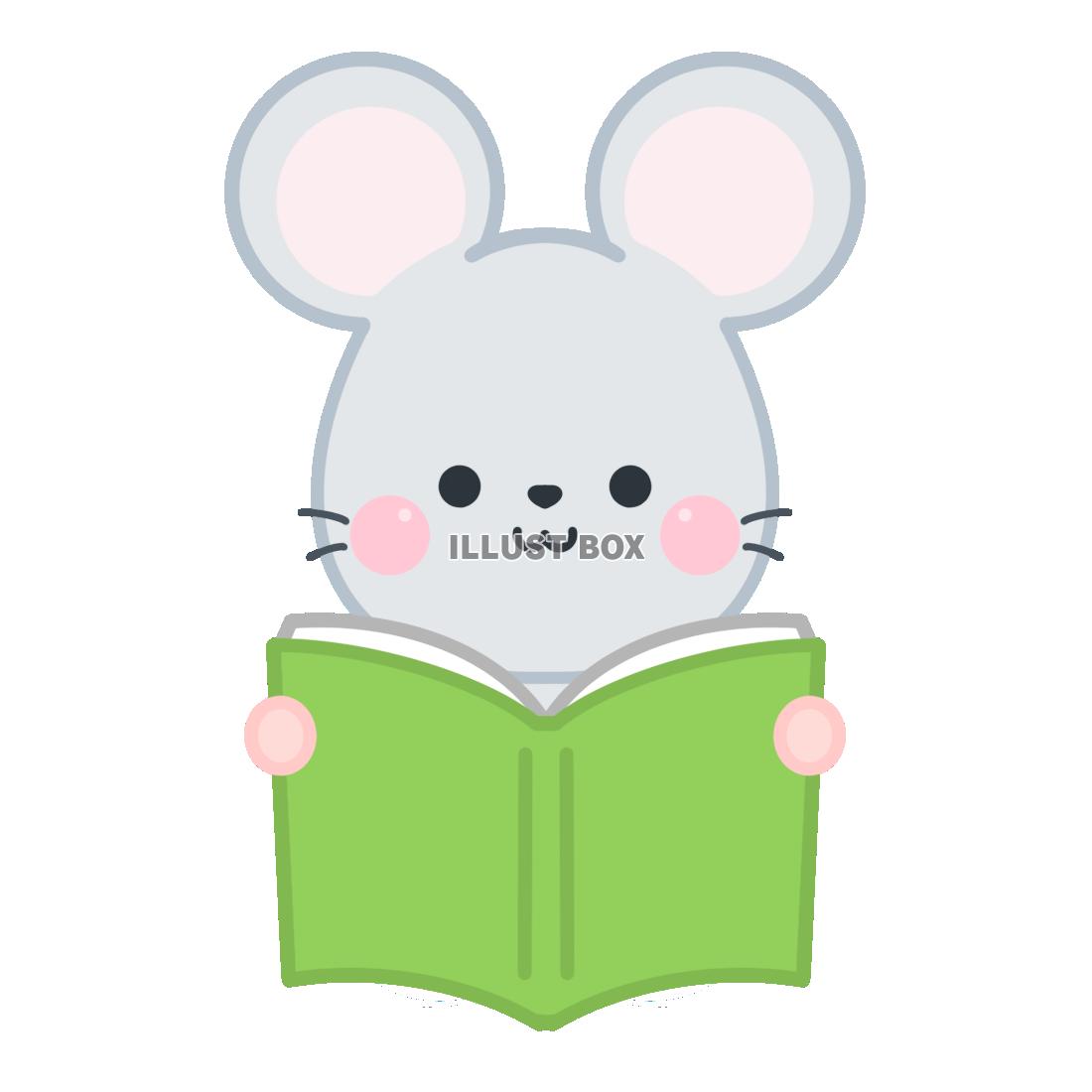 本を読むネズミ