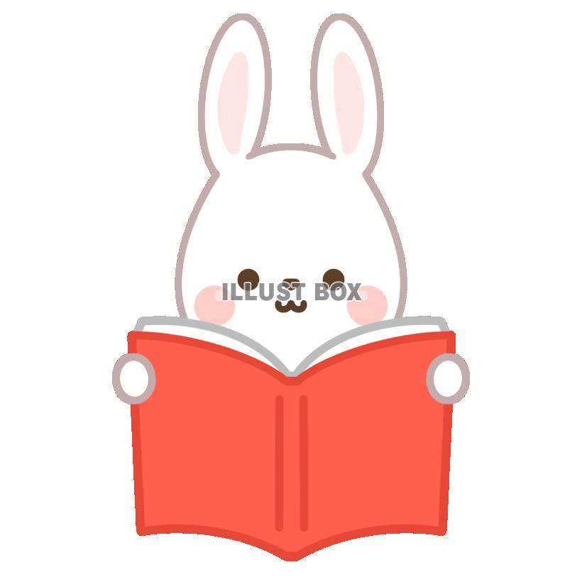 本を読むうさぎ・赤