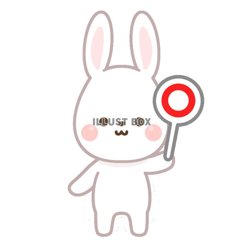 正解・うさぎ