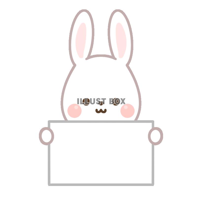 うさぎ・メッセージカード