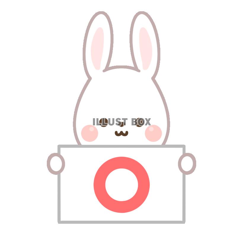 うさぎ・マル