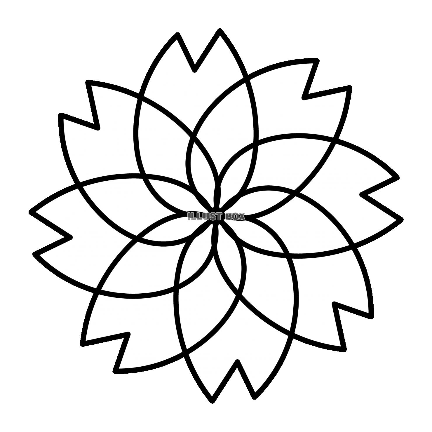 1_イラスト_八重桜