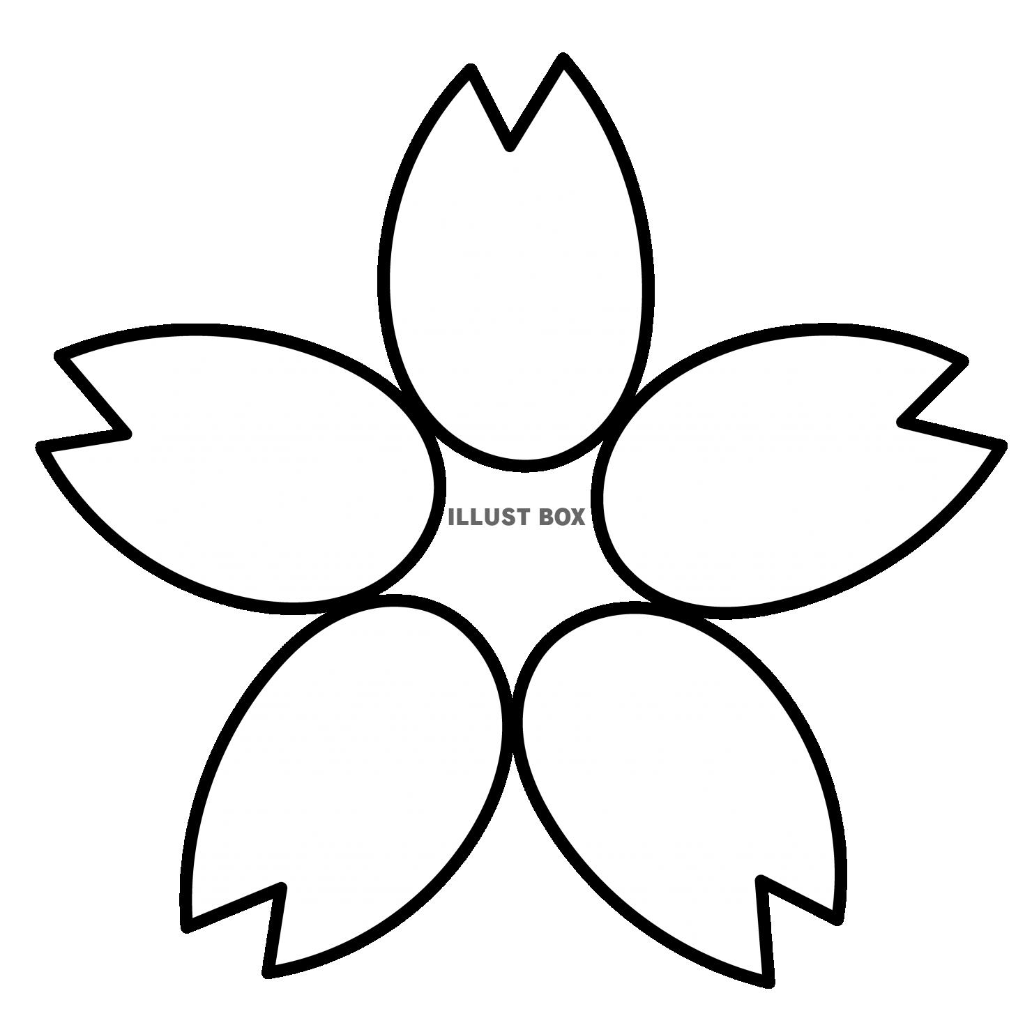 2_イラスト_桜