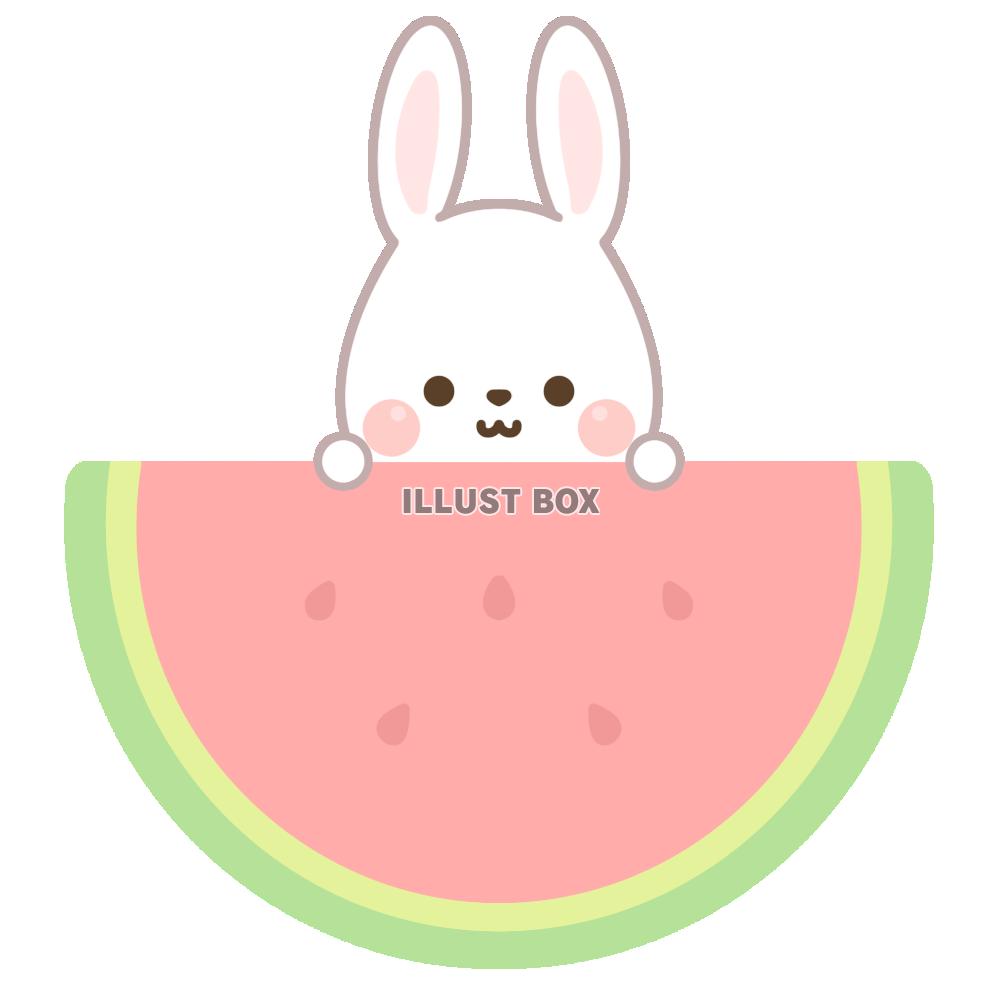 うさぎ・スイカ