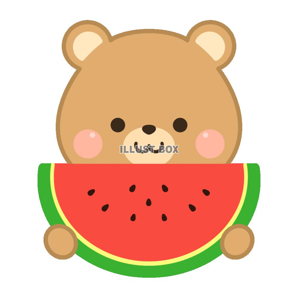 クマ・すいか
