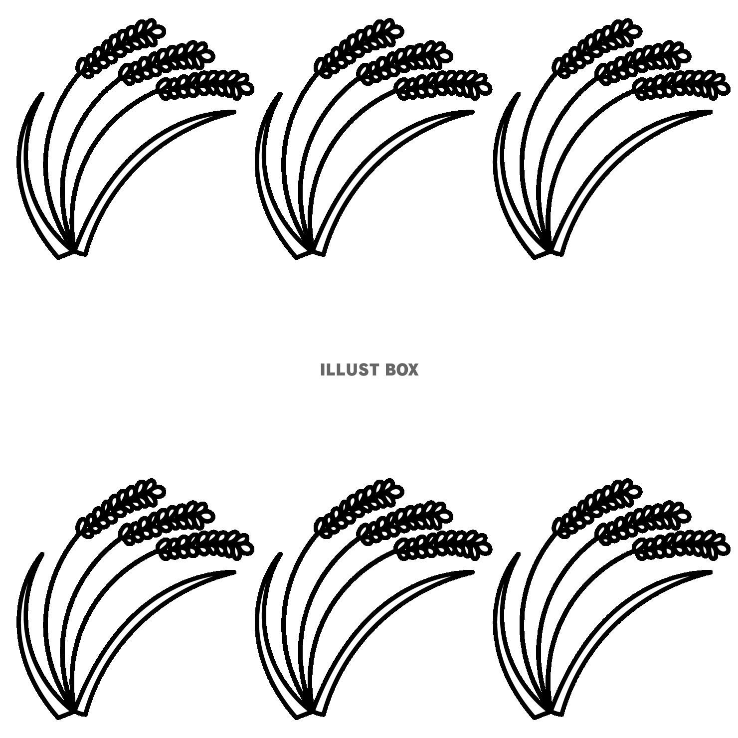 5_枠_稲穂・３本