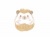 仰向けでお尻を見せるハリネズミ