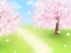 満開の桜　春の風景２