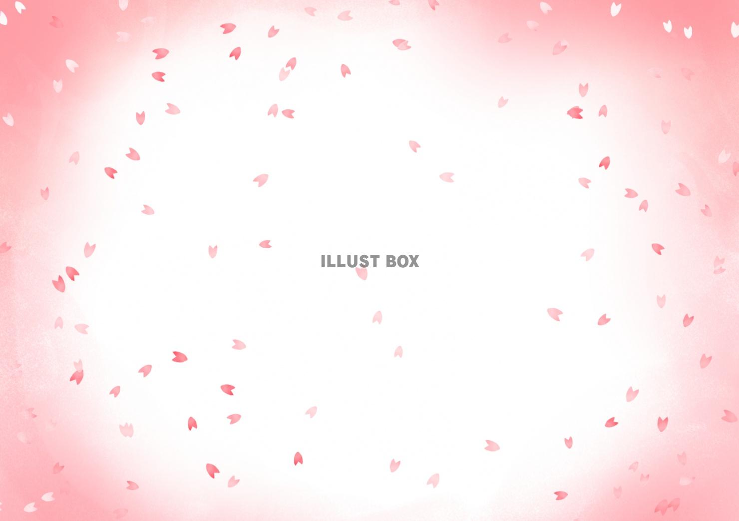 桜ふぶき1