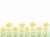 かわいい菜の花畑の背景