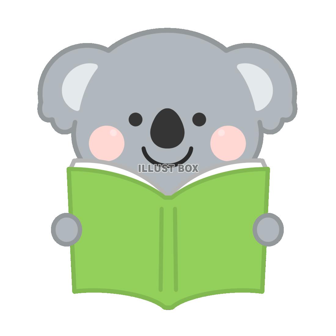 本を読むコアラ