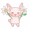 花とうさぎ