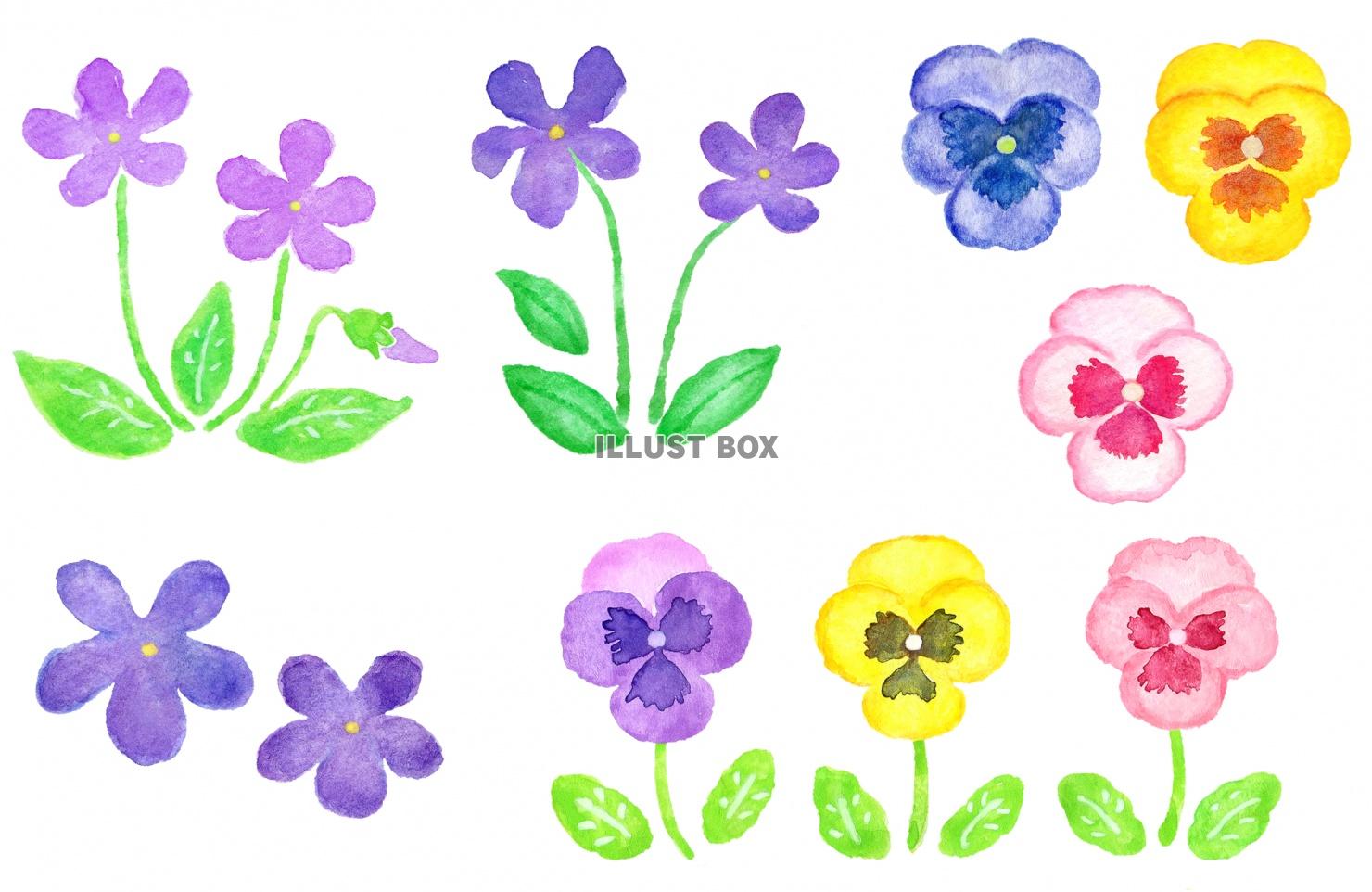 無料イラスト 水彩の春の花のセット