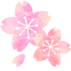 桜の花イラスト水彩風