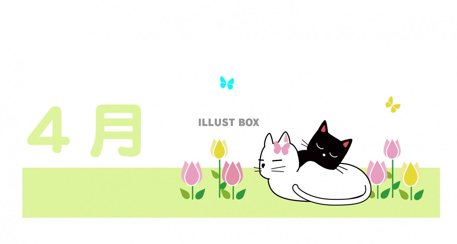 黒猫と白猫のまったり生活のカレンダーロゴ　4月