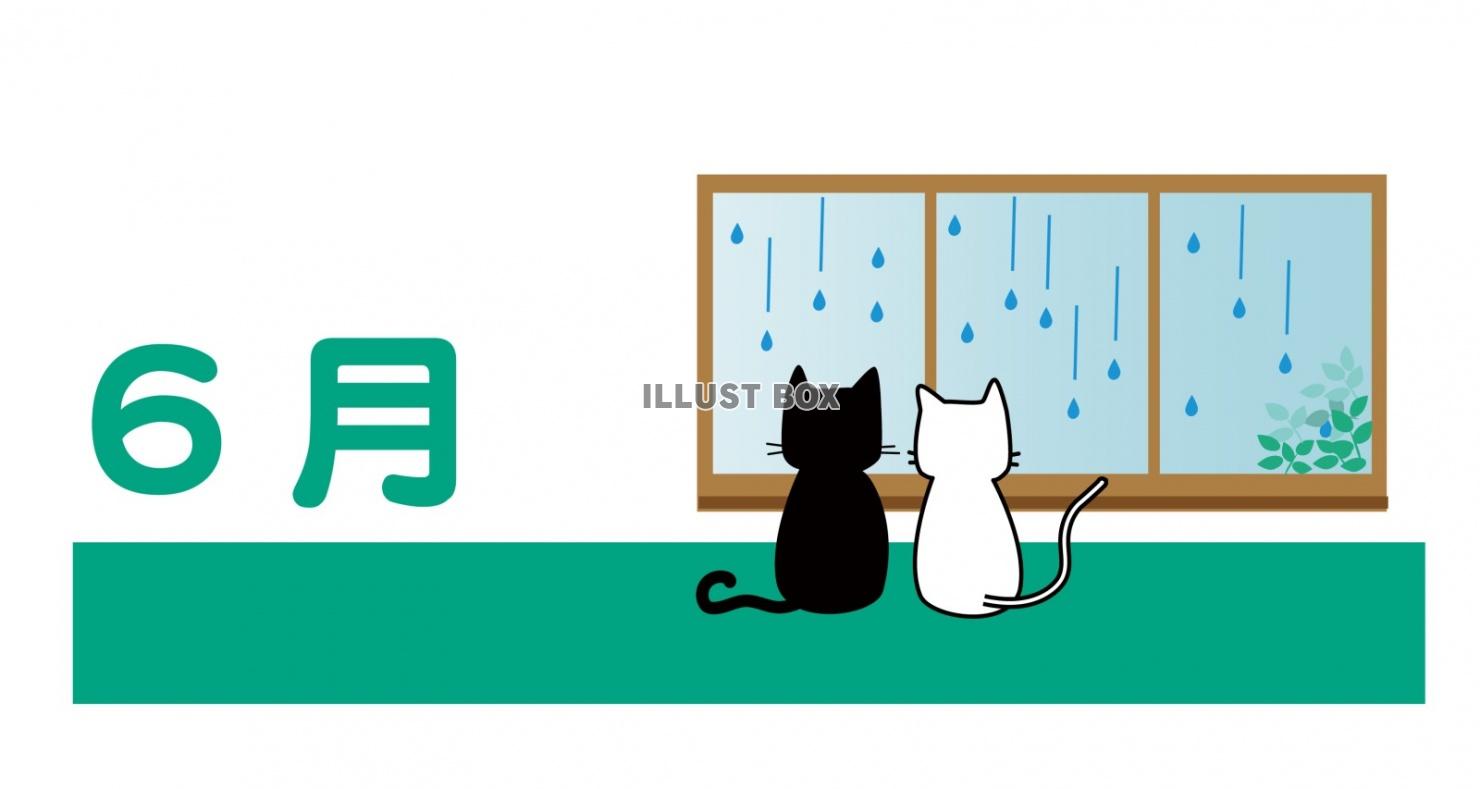黒猫と白猫のまったり生活のカレンダーロゴ　6月