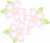 ピンクの美しい桜の花のワンポイントイラスト