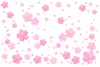 手描き水彩桜テクスチャ01