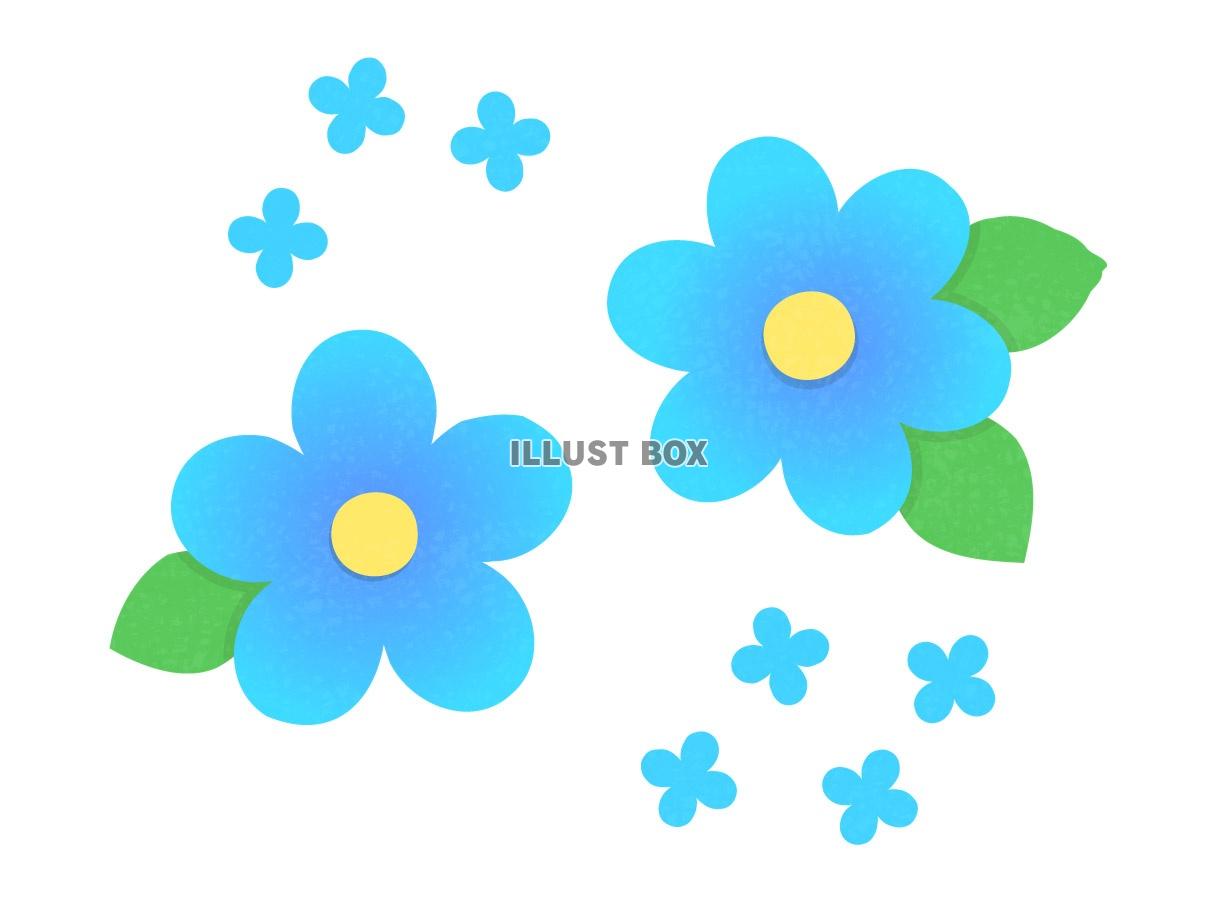 無料イラスト シンプルな青い花