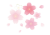 桜のワンポイント