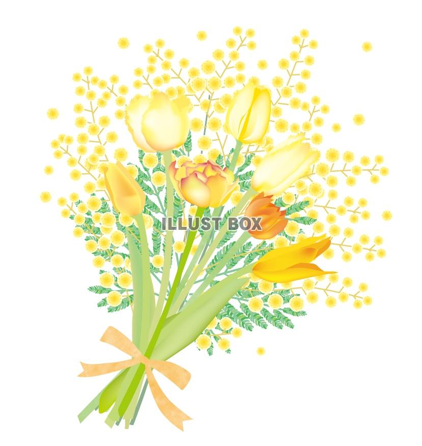 無料イラスト 春の花 花束 ミモザとチューリップ