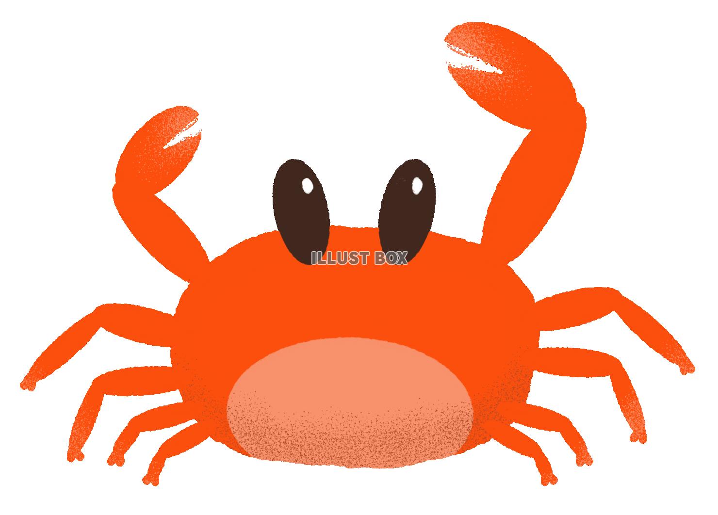 カニのイラスト 
