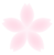 淡い桜の花