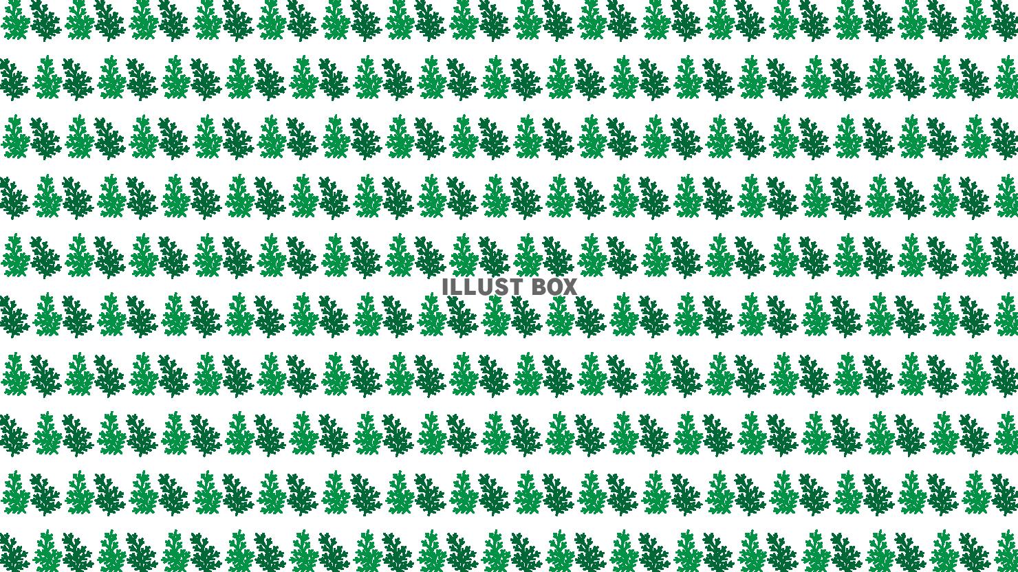 6_背景_モミの木・薄い