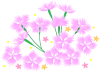 なでしこのお花と小花（春～秋のお花）１