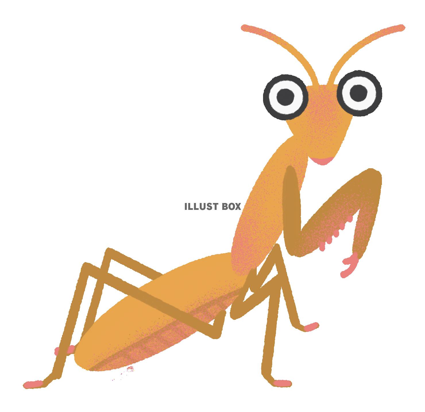 カマキリのイラスト 茶色