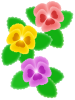 パンジー壁紙画像シンプル花模様背景素材イラスト透過png