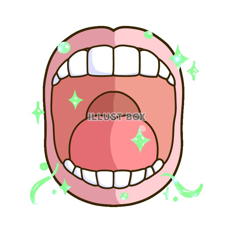 綺麗な息を吐く歯の正面イラスト
