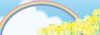 菜の花と虹と青空の横長フレーム　バナー