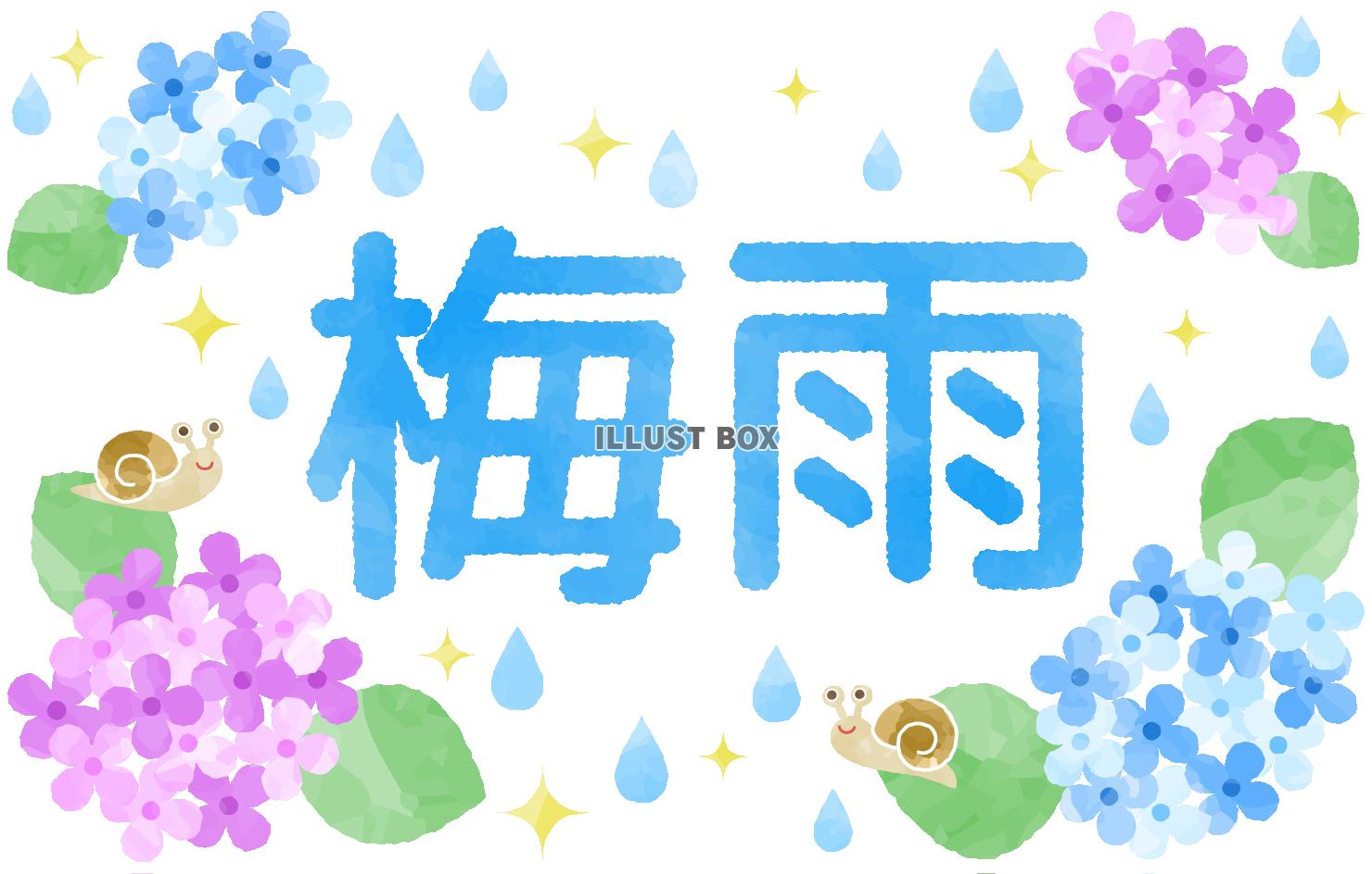 無料イラスト アジサイと梅雨の文字