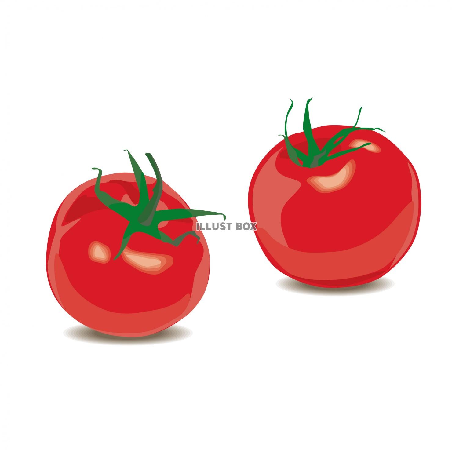無料イラスト 夏野菜 トマト 素材