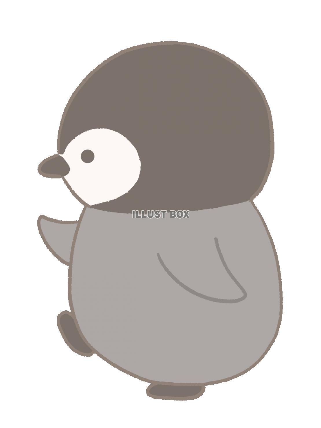 無料イラスト 歩くペンギンのイラスト あかちゃん 線あり