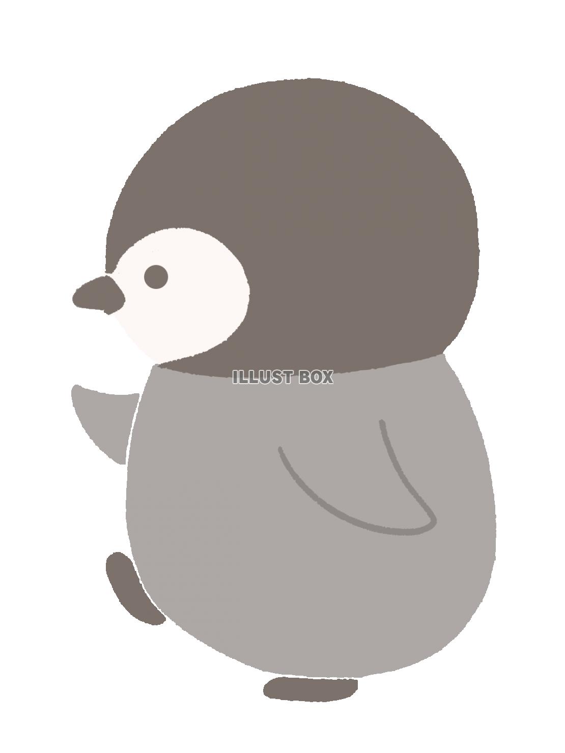 歩くペンギンのイラスト　あかちゃん　線なし