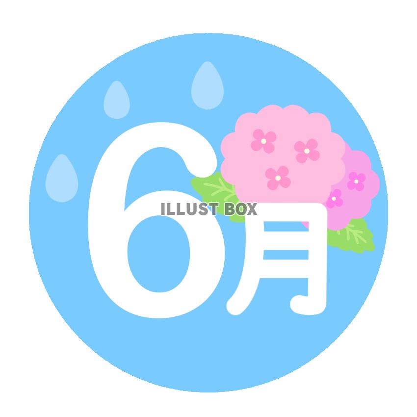 6月・紫陽花・雨